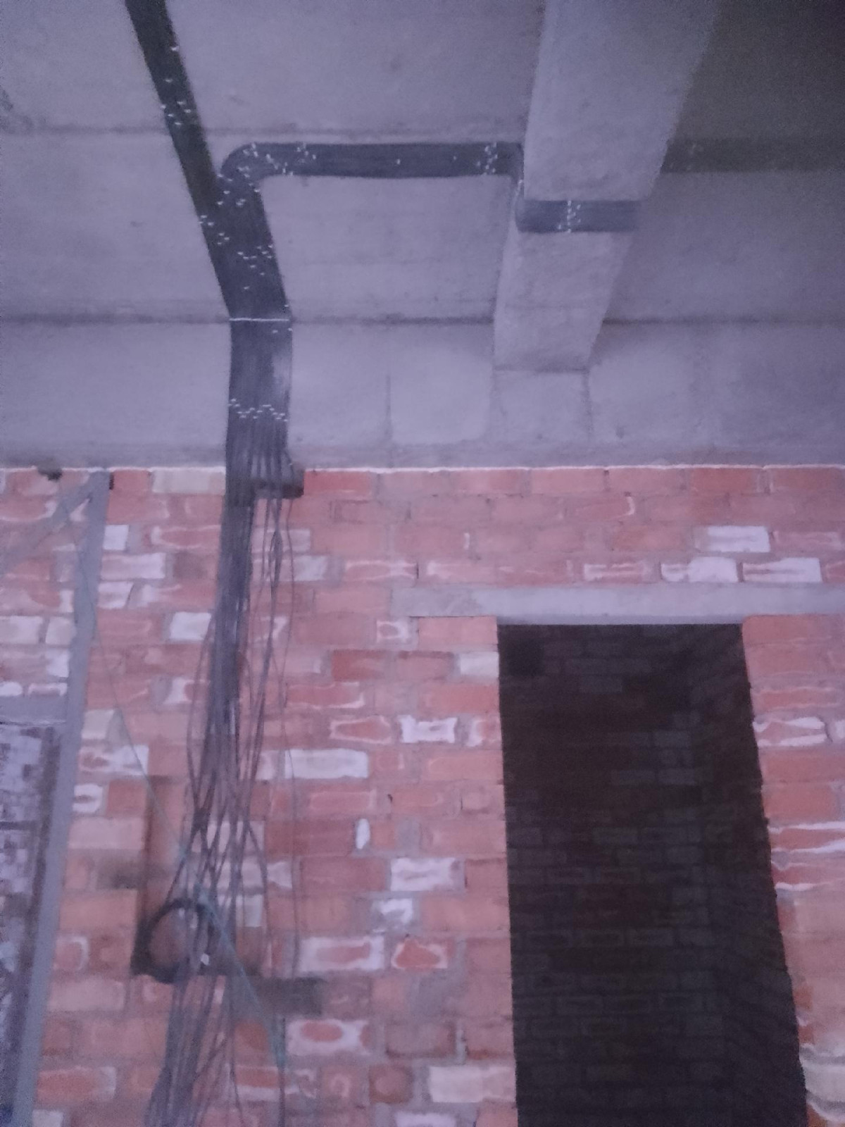 Работа 6 — Таалай А Таалай